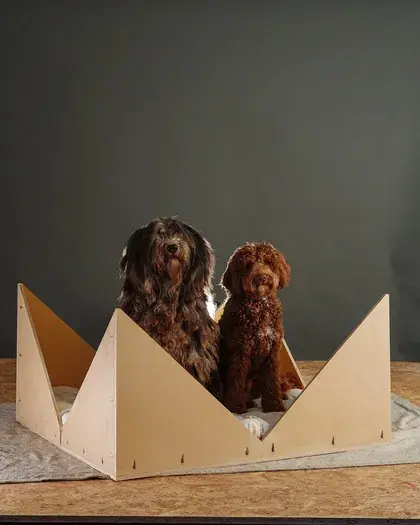 Dos perros dentro de la pieza de madera de Perretes